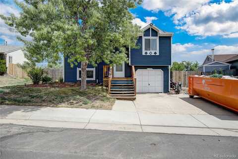 Kendall, WESTMINSTER, CO 80020