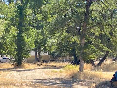 Singing Trees, COTTONWOOD, CA 96022