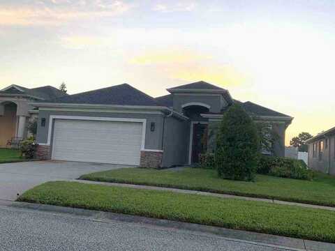 Potterton, HUDSON, FL 34667