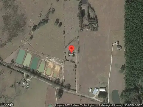Ellis, TYLERTOWN, MS 39667
