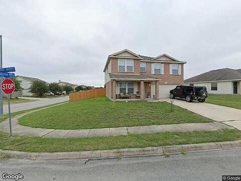 Horse, SCHERTZ, TX 78154