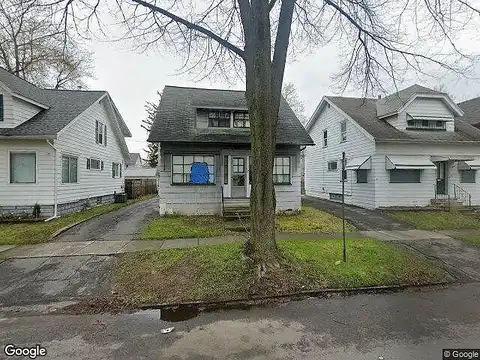 Marigold, ROCHESTER, NY 14615