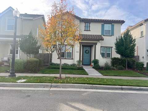 Golden Poplar, SACRAMENTO, CA 95834