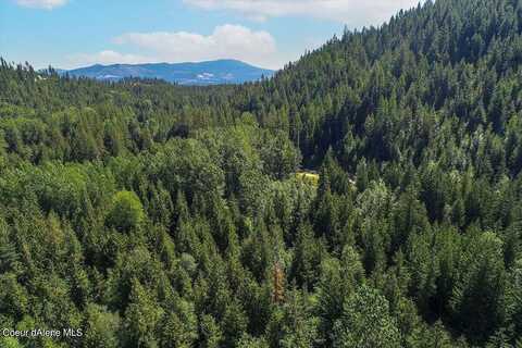 High Meadow, PRIEST RIVER, ID 83856