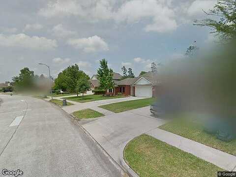 Pinewood Mist, HUMBLE, TX 77346