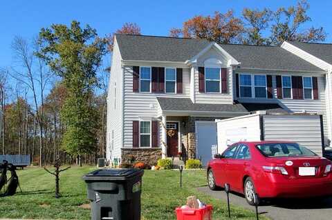 Tulip, GILBERTSVILLE, PA 19525