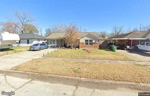 Parakeet, HOUSTON, TX 77034