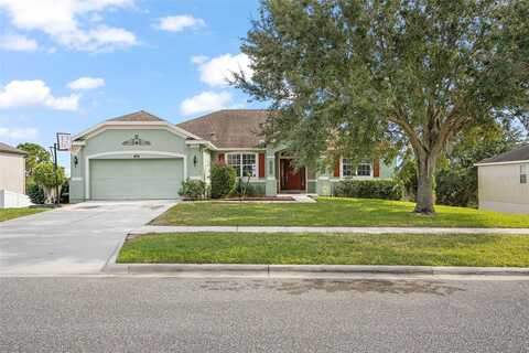 Golden Aster, CLERMONT, FL 34711