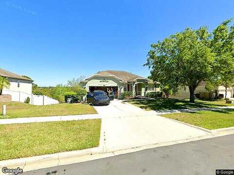 Golden Aster, CLERMONT, FL 34711
