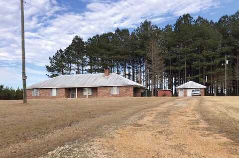 Firetower, MOUNT HERMON, LA 70450