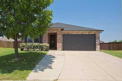 Horizon, LITTLE ELM, TX 75068