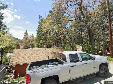 Cougar, RUNNING SPRINGS, CA 92382