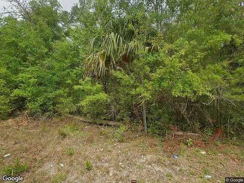 Ridge, SATSUMA, FL 32189