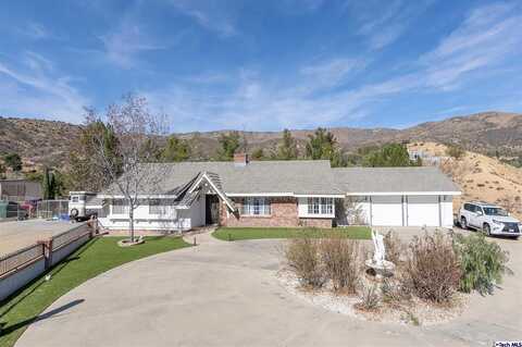 Red Rover Mine, ACTON, CA 93510