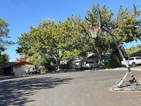 Cicada, MODESTO, CA 95356