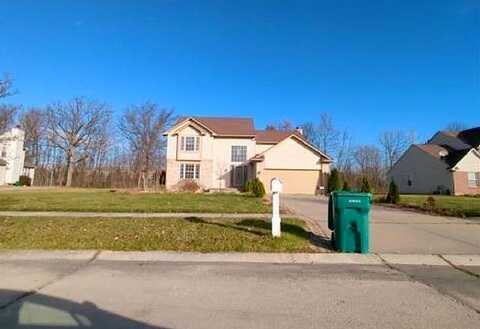 Clydesdale, ROMULUS, MI 48174