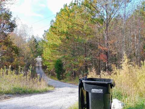 County Road 79, ROANOKE, AL 36274