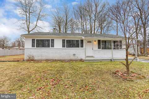 Spruce, BROAD TOP, PA 16621