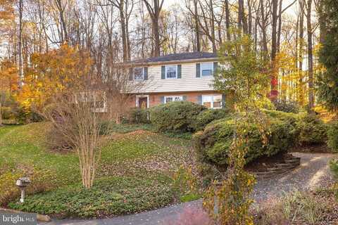 Pinetree, TOWSON, MD 21286