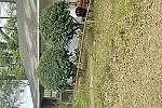 Southern, BRUNSWICK, GA 31520