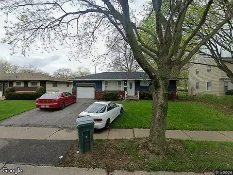 Leopard, ROCHESTER, NY 14615