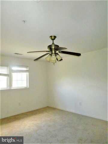 Chastetree, PIKESVILLE, MD 21208
