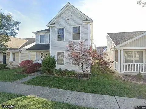 White Spruce, GROVE CITY, OH 43123