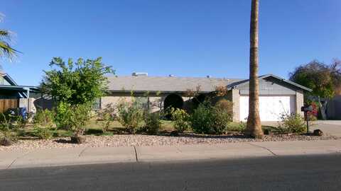 Aster, GLENDALE, AZ 85304