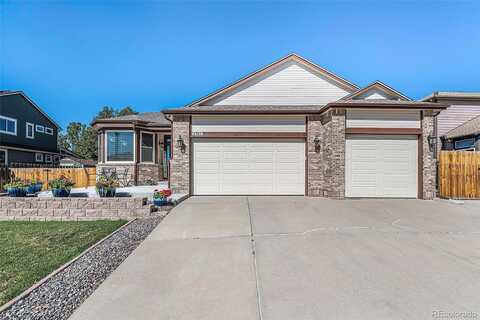 Yank, ARVADA, CO 80002