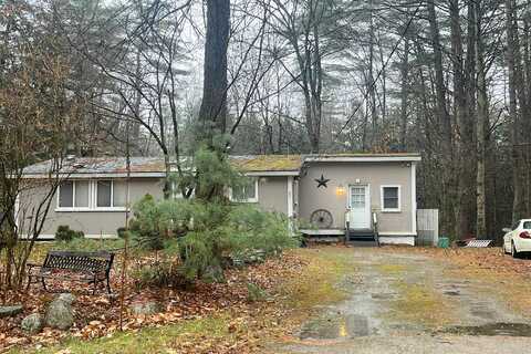 Birch Tree, HILLSBOROUGH, NH 03244