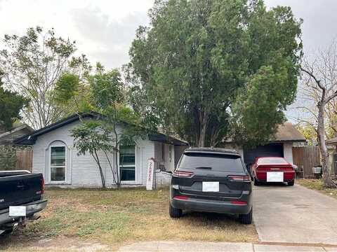 Ligustrum, ROBSTOWN, TX 78380