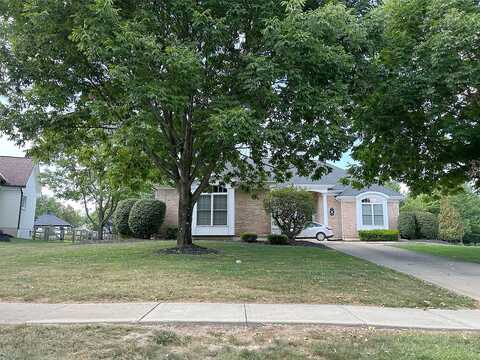 Palmer, LOVELAND, OH 45140