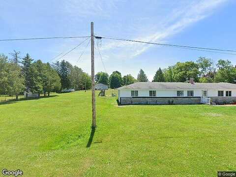 Turtle, POSEN, MI 49776