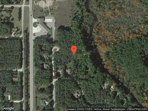 Red Fox, STANWOOD, MI 49346