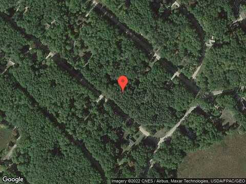 Pine Tree, STANWOOD, MI 49346