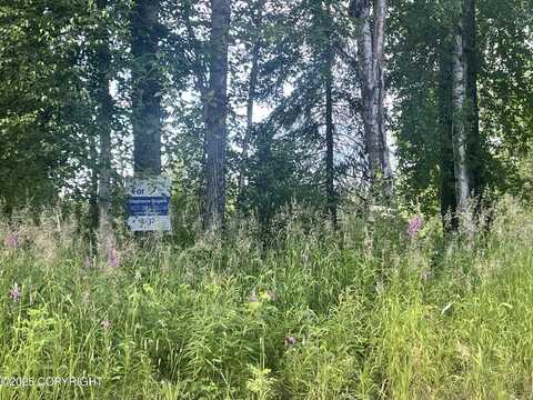 20657 W River Aire Drive, Willow, AK 99688