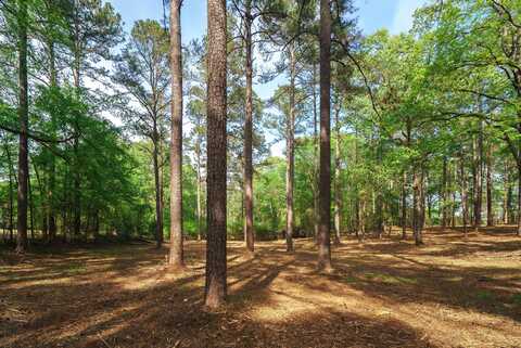 Lot 1,2,5 Banks Mill Road Road SE, Aiken, SC 29803