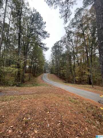 0 COOSA ROAD, TITUS, AL 36080