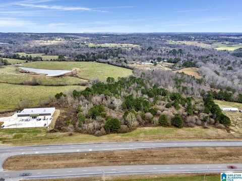 12531 ALABAMA HIGHWAY 157, VINEMONT, AL 35179