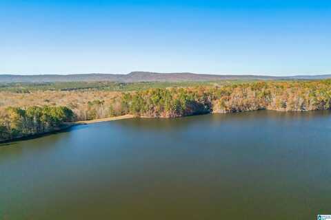 0 PUMPKIN HOLLOW ROAD, STERRETT, AL 35178