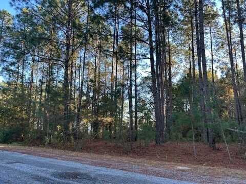 v/l 20 Whispering Pines Dr, Rochelle, GA 31079