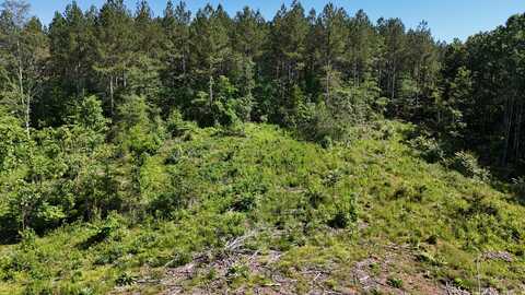Lot 4 Lamontville Road, Decatur, TN 37322