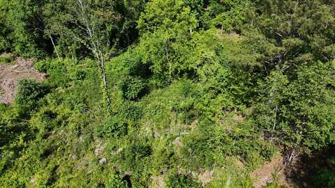 Lot 5 Lamontville Road, Decatur, TN 37322
