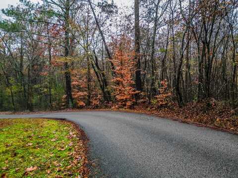 0 Long Hollow Road, New Hope, TN 37380