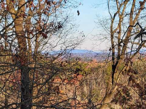 2221 Horizons Drive, Ooltewah, TN 37363