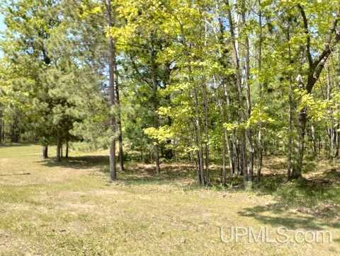 10492 BREEZY R.22 LANE, RAPID RIVER, MI 49878