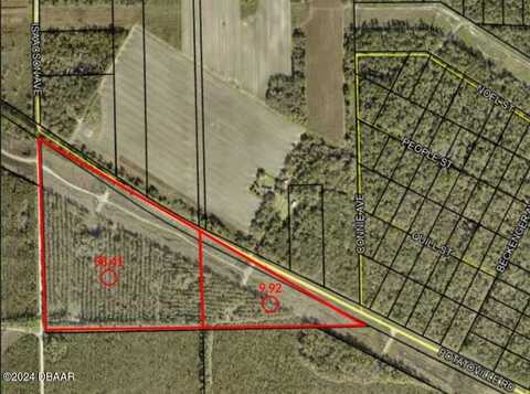 00 Potatoville Road, Hastings, FL 32145