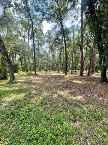 80th Ave, Bell, FL 32619