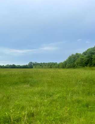 682 Williams Road, DeFuniak Springs, FL 32433