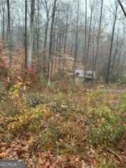 17 Lakeside, Martin, GA 30557
